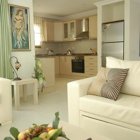 Orka Mountain View Villas 펜션 페티예